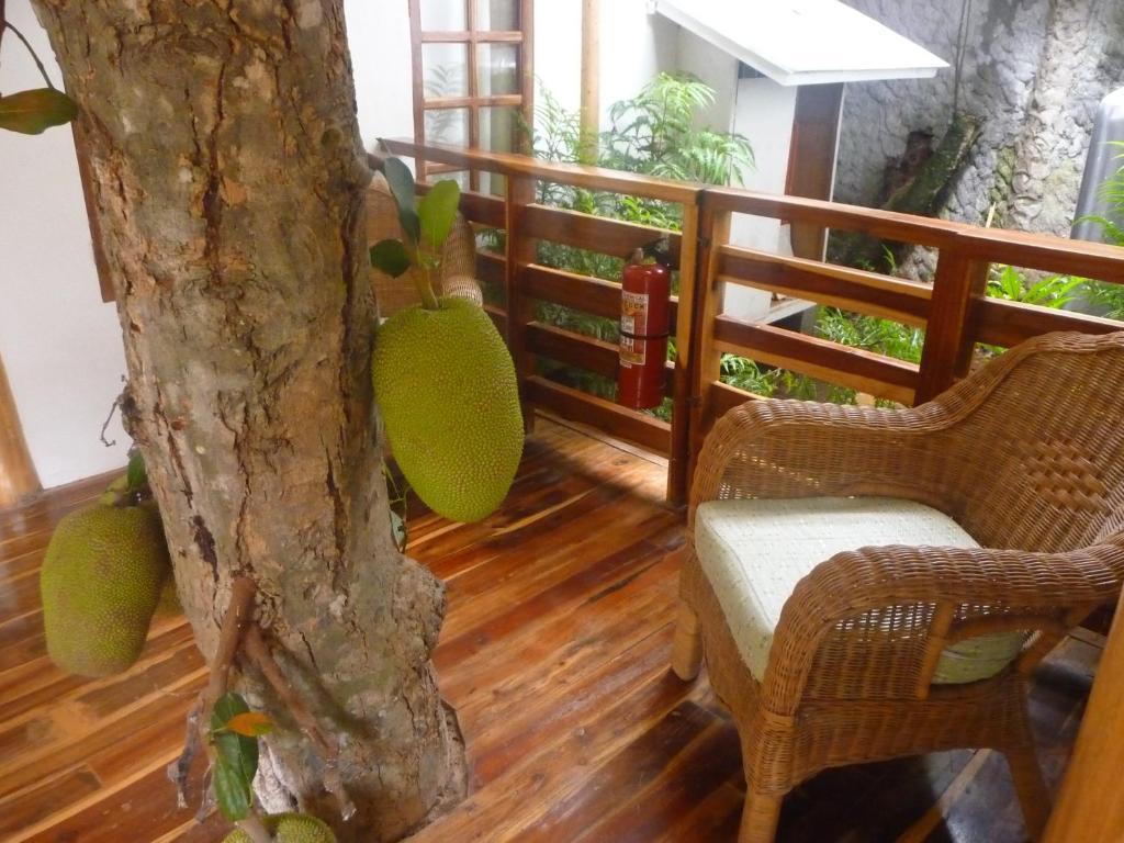 Palo Alto Bed & Breakfast Puerto Princesa Luaran gambar